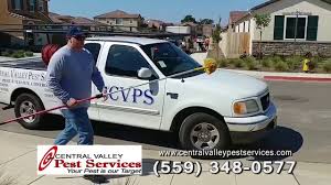 Best austin pest control services. Central Valley Pest Services Pest Control Fresno Pest Control Clovis