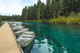 images?q=tbn:ANd9GcQ-DboIPHOTWcCL_zkQln4