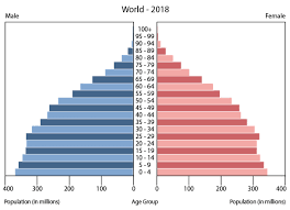 World Age Structure Demographics