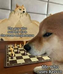 Submitted 1 hour ago by 1000_cats_. The Best Chess Memes Memedroid