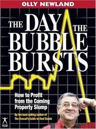 The Day the Bubble Bursts: How to Profit from the Coming Property Slump :  Newland, Olly: Amazon.in: Books
