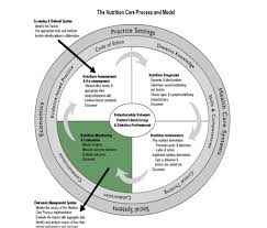 Pin On Healthy Food Global