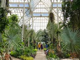 The bronx botanical gardens host over one million plants showcased in the center's fifty gardens. New York Botanical Garden Opens Largest Exhibit Ever On Modernist Landscape Artist Roberto Burle Marx Untapped New York