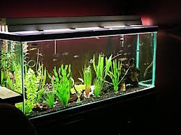 Aquarium Sizes And Weights Chart Aquarium Fish Tank Diy Fish Tank Fish Tank