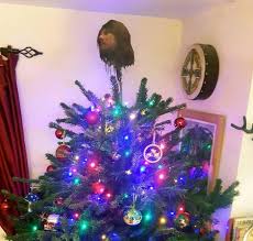 Getting ready for Christmas!