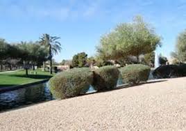 Landscape materials compost•loam•mulch•stone•sand•gravel dumpster rentals Pioneer Landscaping Materials 6101 S Mann Ave Tucson Az 85756 Yp Com