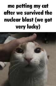 Me Petting My Cat Before The Nuclear Blast Know Your Meme