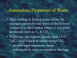 Image result for anomalous property of water