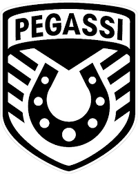 Download for free in png, svg, pdf formats 👆. Pegassi Gta Wiki Fandom