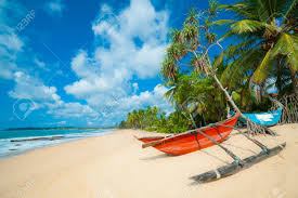 Er is geen enkel ander land zo divers als sri lanka! Unberuhrter Tropischer Strand Mit Palmen Und Fischerboote In Sri Lanka Lizenzfreie Fotos Bilder Und Stock Fotografie Image 14813466