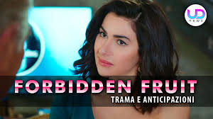 Soap - Forbidden Fruit Anticipazioni Turche: Şahika Chi E' E Cosa  Nasconde...Altro... | Facebook