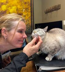 Gentle Dog Training.com