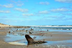 The toyota corolla is ranked #5 in compact cars by u.s. Shipwreck Of The Metropolis These Days Of Mine