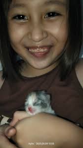 cat aphorisms life #follow3    #lower2  