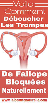 Voila Comment Deboucher Les Trompes De Fallope Bloquees Naturellement Trompes Fallope Bloquees Health Beauty Health Life Hacks