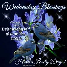 We did not find results for: Kjv Sunday Quotes 100 Most Popular Bible Verses Kjv Dailyverses Net Dogtrainingobedienceschool Com
