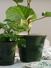 Kamomill Plant Pot Green Indoor Outdoor Green 7 Ikea Potted Plants Indoor Plant Pots Ceramic Flower Pots