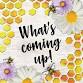 What's Coming Up for November with Cards by... event in Fond du Lac, WI