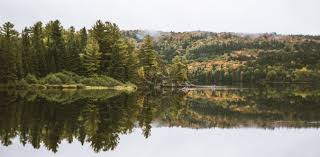 10 Reisezitate Mit Garantiertem Denkanstoss Backpacker Dude