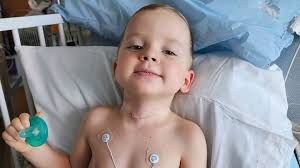 Fundraiser for Lisa Leo by Nikki Bethka : Love for the Leo's