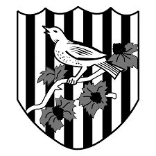 The hammers are looking for a new goalkeeper to compete with lukasz fabianski and want to bid for johnstone. West Bromwich Albion Logo Black And White Brands Logos