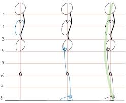 Anatomical drawing of human body. Human Anatomy Fundamentals Basic Body Proportions