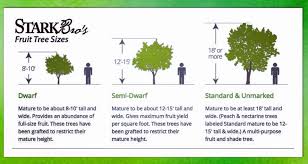 Stark bro's nurseries & orchards co. Facebook