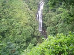 Eksperilunem > tiket wisata > harga tiket masuk the jungle terbaru 2021. Daftar Wisata Majalengka Paling Populer Terbaru 2021