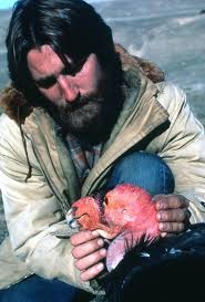 Staff — Bloom Research,Inc.