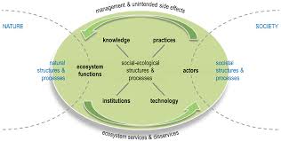 We did not find results for: Sustainability Free Full Text How The Social Ecological Systems Concept Can Guide Transdisciplinary Research And Implementation Addressing Water Challenges In Central Northern Namibia Html