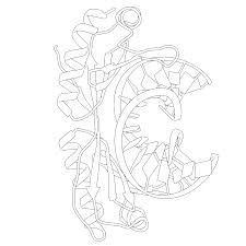Pypus is now on the social networks, follow him and get latest free coloring pages and much more. Https Cdn Rcsb Org Pdb101 Learn Resources Coloring Book Pdb101 Coloring Book Pdf