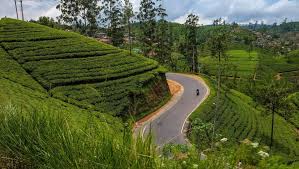 Select sri lanka from the drop down and enter the phone number. Recomandare De Traseu In Sri Lanka Buget Èi Ghid De CÄlÄtorie