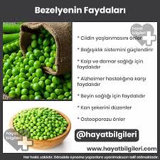 10 Dakikada Tum Kaslari Calistiran 5 Tibet Egzersizi Hayat Bilgileri Saglikli Saglik Saglik Ipuclari
