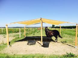 sonnensegel pferd tier diy schoner wohnen mit unseren sonnensegeln pferde stall bauen pferde pferdestall