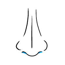How to draw a nose for kids easy. Easy To Draw Nose For Kids Novocom Top