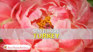 Finally i went on their website and noticed that there was an account originally answered: 8 Best Options To Send Flowers To Turkey 2021