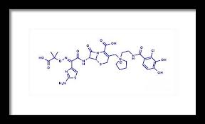 Image result for Cefiderocol