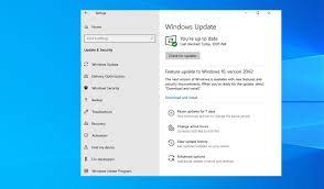 Instead, it is bundled and automatically included with the feature update to windows 10, version 20h2. Solved Feature Update To Windows 10 Version 20h2 Failed To Install 2021