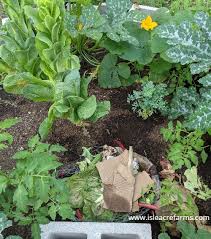 Oct 23, 2020 · you can also use cardboard to line the bottom of raised beds before filling them with soil. How To Use Cardboard In Your Garden 9 Ways That Make You Smart Isle Acre Farms