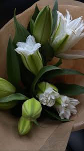 Pin By Melody Yip On Life Flower Aesthetic Pretty Flowers Planting Flowers