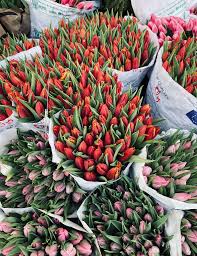 Maybe you would like to learn more about one of these? Rotermann Grab Go 50 Tulpi 25 Fleur Royale Flowered By Peter Boeijkens Facebook