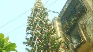 Books, plants, or seeds for the avid gardener in your life. Gifts The Asian Age