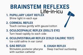 Image result for Oculovestibular Testing
