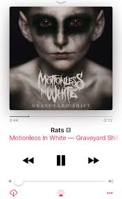 Bailey Bean (@bean__brock)