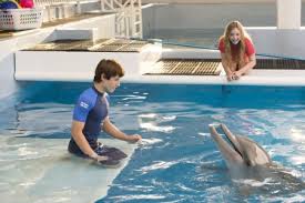 Unstoppable is the untold story of the heart of a champion and her resilience against all odds to become one of the leading professional surfers of our time. Bethany Hamilton Appears In New Dolphin Tale 2 Trailer New Film Release Date Announced Video The Christian Post