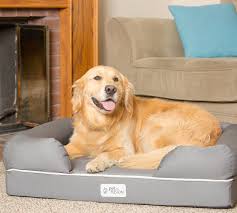 Which dogs benefit most from memory foam? Petfusion Extra Large Ultimate Dog Bed With Orthopedic Memory Foam From Mattress Firm Accuweather Shop