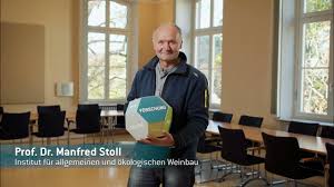 Forschungsprojekt VitiVoltaic