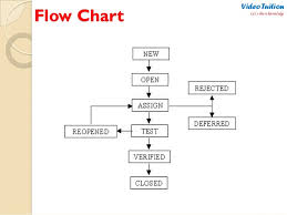 systematic life cycle flowchart bug life cycle flowchart