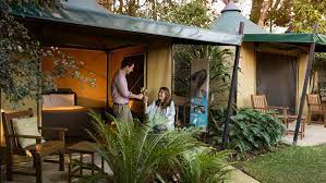 Often described as dubbo accommodation at its best, the cattleman's country motor inn at. Overnight Accommodation At Our Zoos Taronga Conservation Society Australia