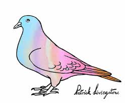 Animals, world cities, greeting cards, flowers and abstract shapes! How To Draw A Pigeon Step By Step Easy Animals 2 Draw